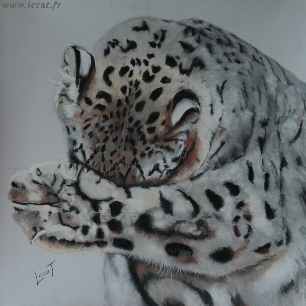 animalier